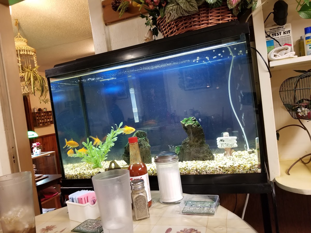 Pat's Cafe